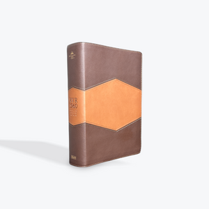RVR1960 Biblia de Estudio Holman en Chocolate/Terracota Símil Piel (Spanish Edition)
