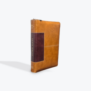 RVR1960 Letra Grande de 14 Puntos Tamaño Manual con Cierre, Indice y Foro Edicion Especial