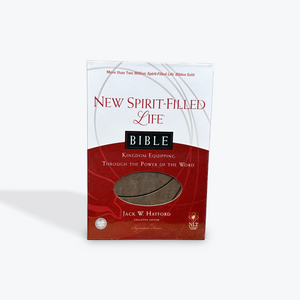 NLT New Spirit-Filled Life Bible, Rich Stone Leathersoft
