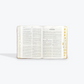The KJV Study Bible Large Print Edition with Index Teal Inlay