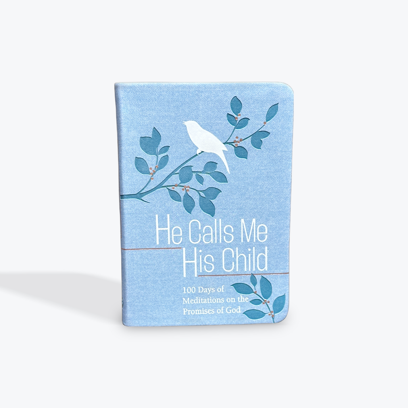 He Calls Me His Child: 100 Days of Meditations on the Promises of God