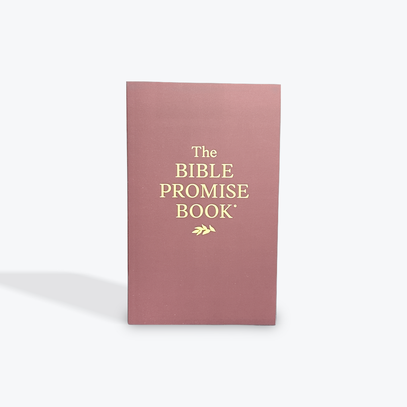 The Bible Promise Book KJV