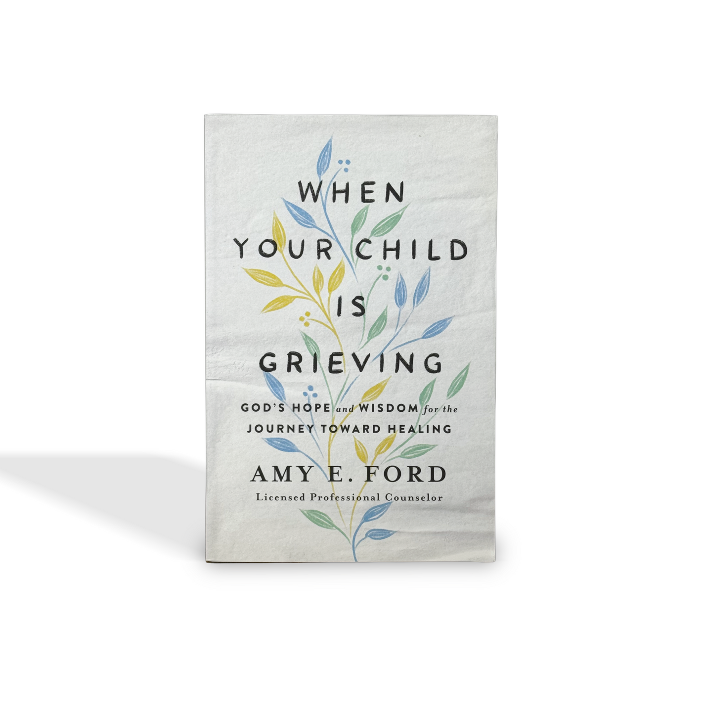 When Your Child Is Grieving: God's Hope and Wisdom for the Journey Toward Healing by Amy E. Ford
