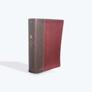 NIV Life Application Study Bible, Third Edition Brown/Mahogany LeatherLike with Index