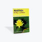 Mateo: El Rey y el Reino por Roland Q. Leavell (Colección Estudios Biblicos Basicos)