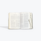 NTV Biblia Compacta, Letra Gigante con Filament LeatherLike, Indexed, Gray, Red Letter